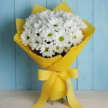 Букет цветов из:  Хризантемы в Поселок пансионат Клязьминское водохранилище