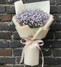 Букет цветов из:  Гипсофила в Поселок пансионат Клязьминское водохранилище