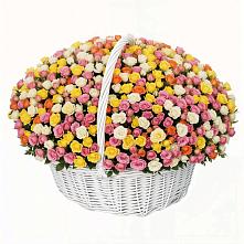 Премиум букет из: Розы в Поселок пансионат Клязьминское водохранилище