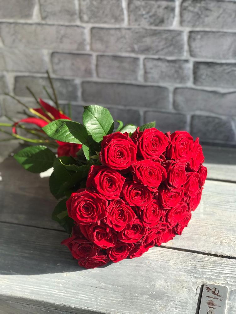 Букет Красные розы Фридом в Поселок пансионат Клязьминское водохранилище