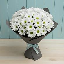 Букет цветов из:  Хризантемы #REPLACE_PRED# Поселок пансионат Клязьминское водохранилище