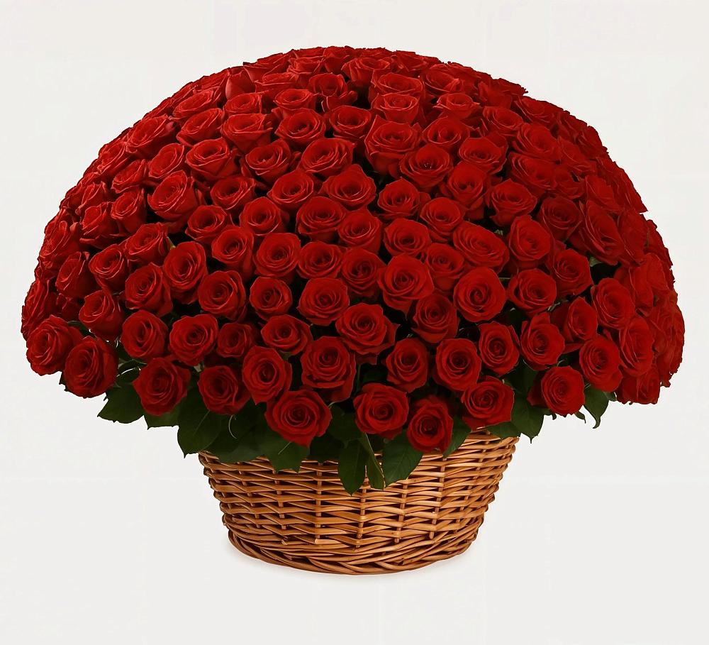 Премиум букет из: Розы в Поселок пансионат Клязьминское водохранилище