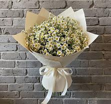 Букет цветов из:  Ромашки #REPLACE_PRED# Поселок пансионат Клязьминское водохранилище