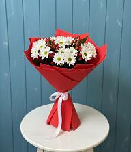 Букет цветов из:  Хризантемы в Поселок пансионат Клязьминское водохранилище