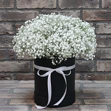 Цветочная композиция из Гипсофила в шляпной коробке в Поселок пансионат Клязьминское водохранилище