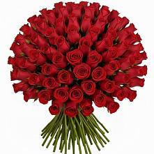 Букет Красные розы Чери Лав #REPLACE_PRED# Поселок пансионат Клязьминское водохранилище
